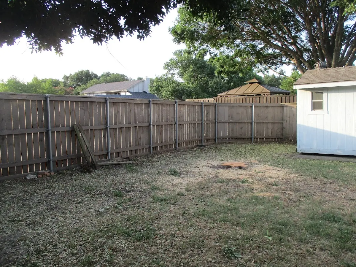 Cleared yard after professional tree removal in Hale Center